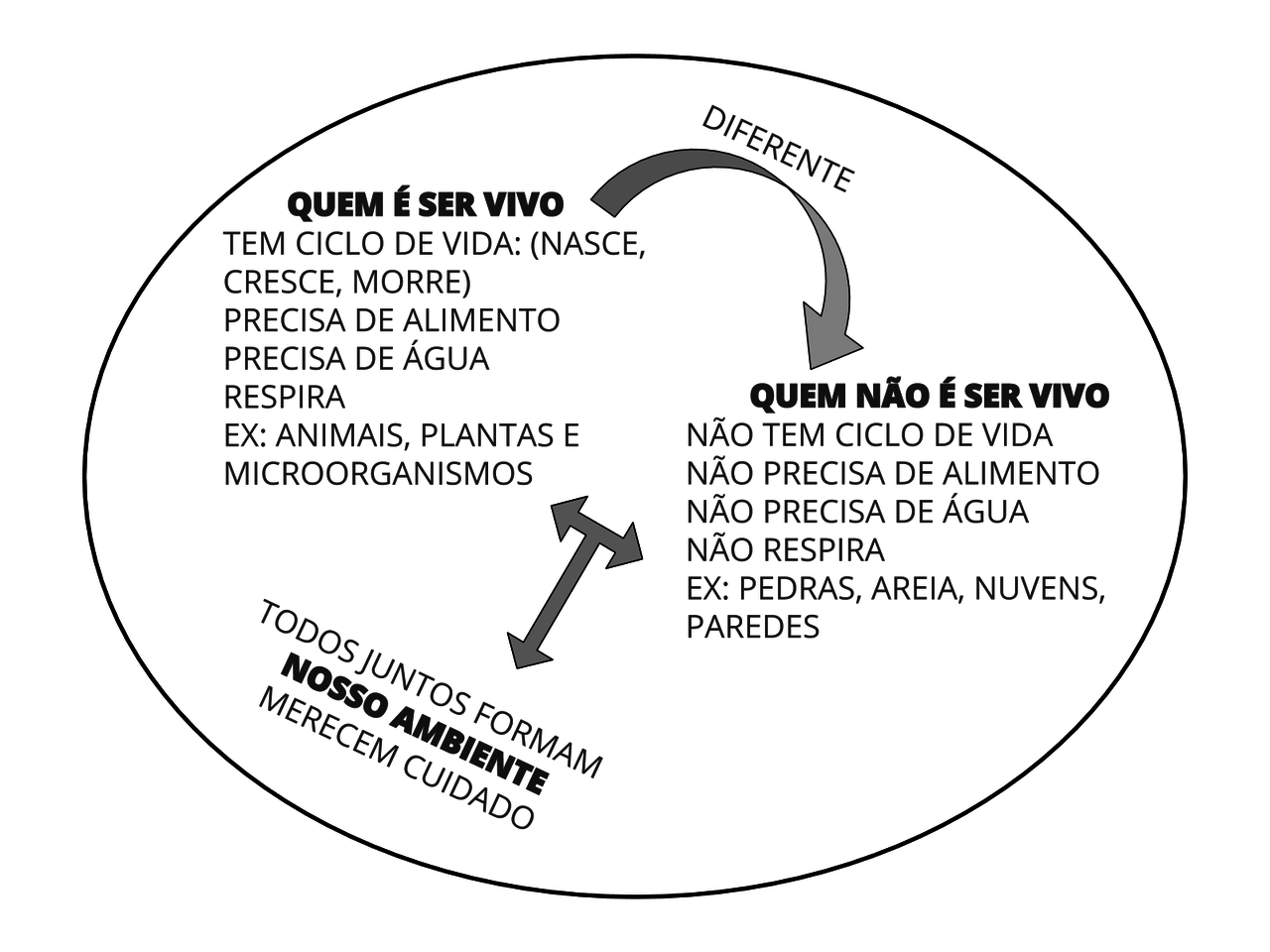 Plano De Aula Seres Vivos Ano Brainstack Hot Sex Picture The Best