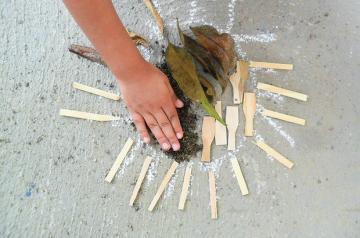 Educação Infantil - Reggio Emilia