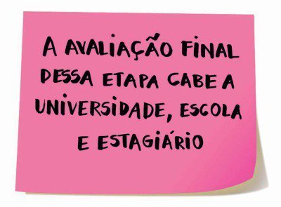 Manual do bom estágio. Elisa Carareto