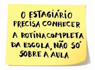 Manual do bom estágio. Elisa Carareto