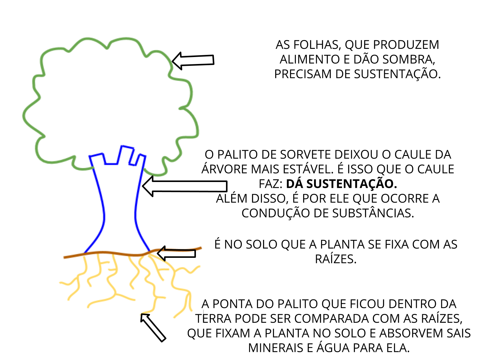 Folha Dentada - 2 - Disciplina - Ciências