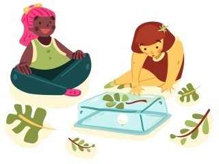 O que fazer durante? O que fazer durante?