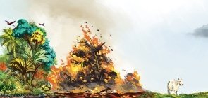 Infográfico: Amazônia em chamas