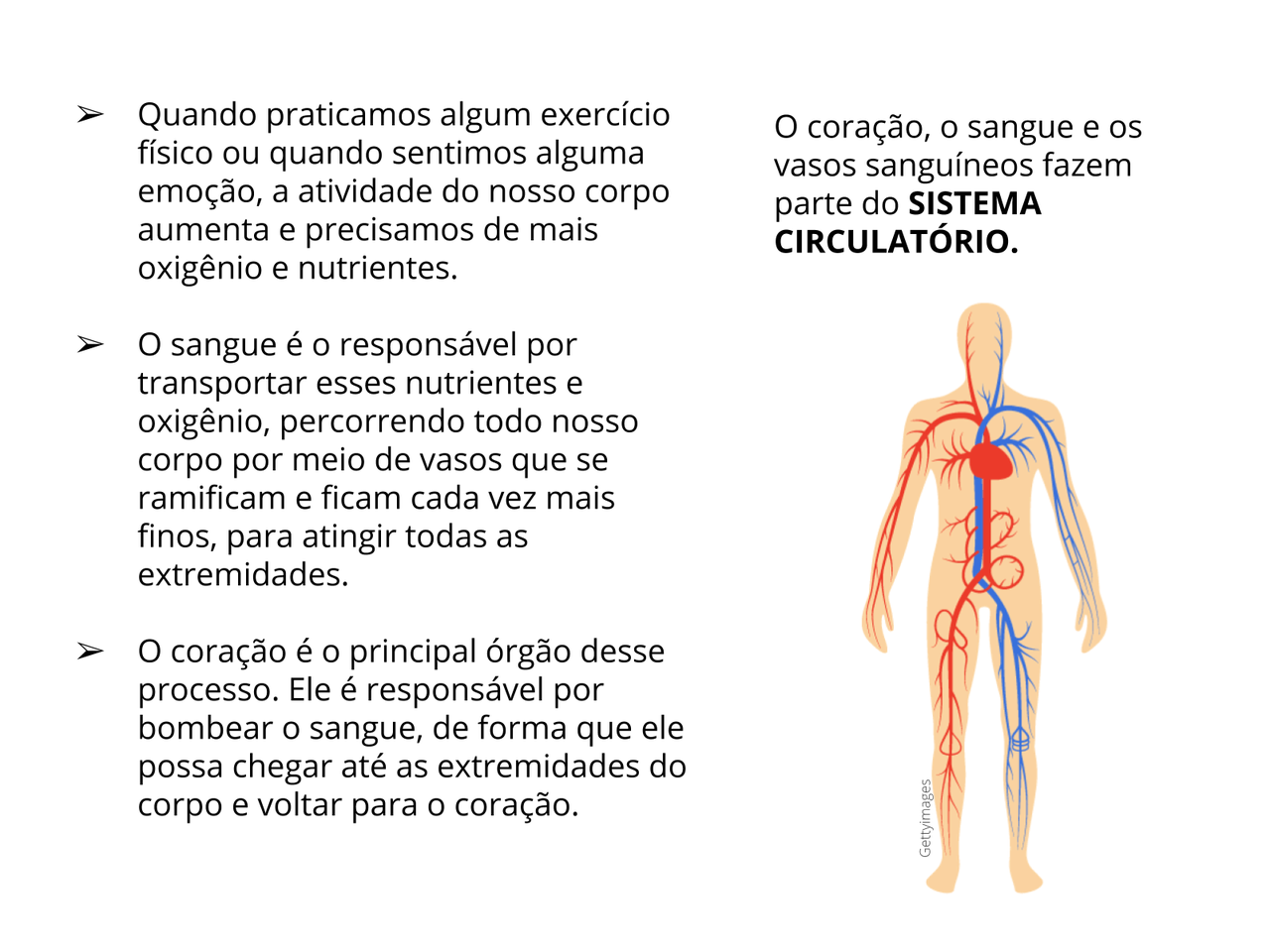 Dentre As Doenças Fúngicas Abaixo Qual Atinge O Sistema Respiratório