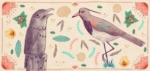 Leituras, vídeos e muito mais: mergulhe no folclore brasileiro