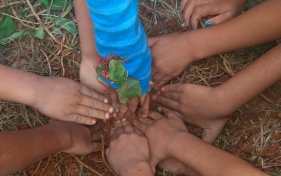 Diretora da creche de Janaúba: “Os pais me diziam que os filhos eram felizes na escola”