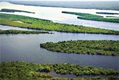 A Amazônia não é só nossa. Foto: Carol da Riva