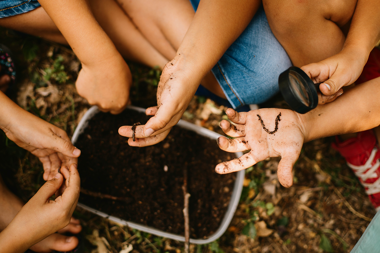 Close up das mãos das crianças segurando minhocas coletados para atividade em aula