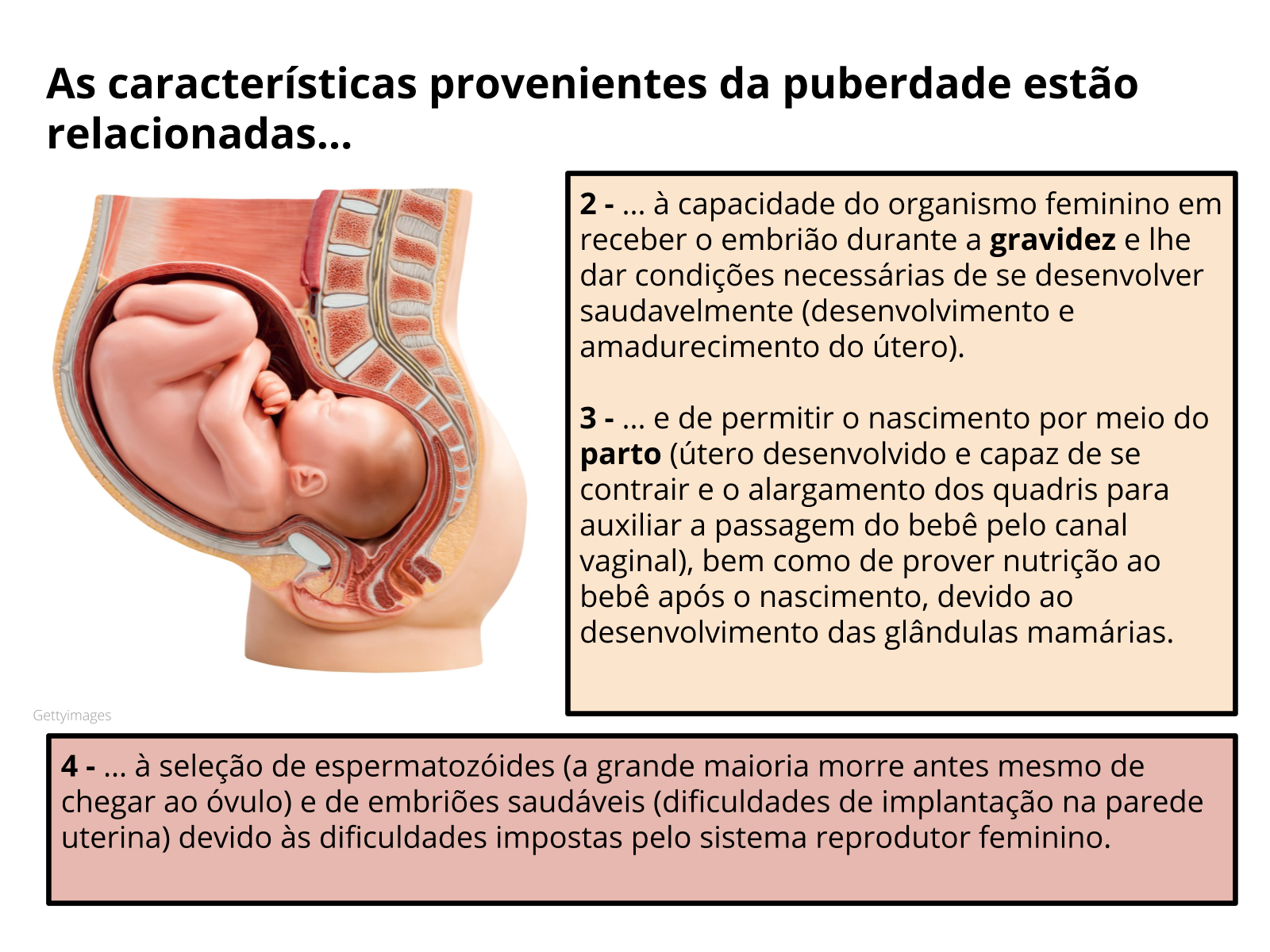 Plano De Aula 8º Ano Ciências O Que Acontece Após O Encontro Dos 5527