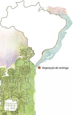 Ilustração: Anna Cunha
