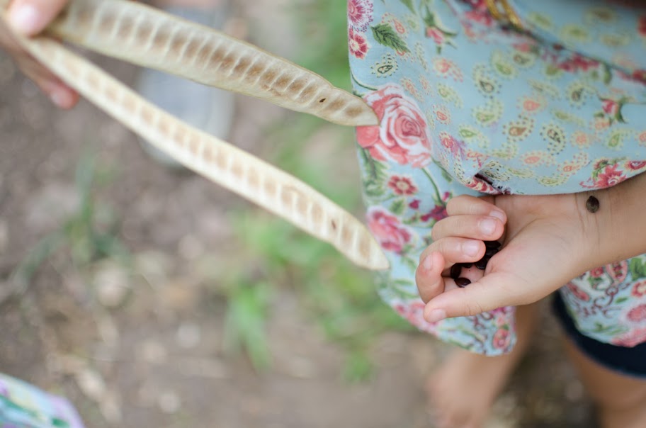 Fotografia de criança com galhos em mãos.
