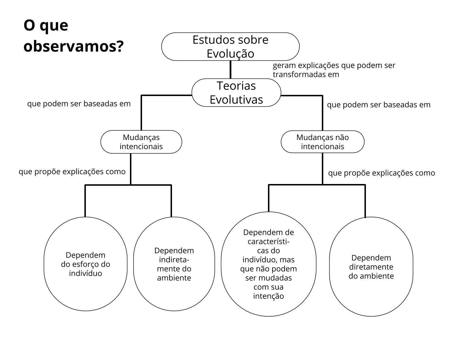 Exemplo do Jogo de perguntas e respostas sobre Evolução de