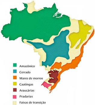 O que são os domínios morfoclimáticos brasileiros. Cássio Bittencourt