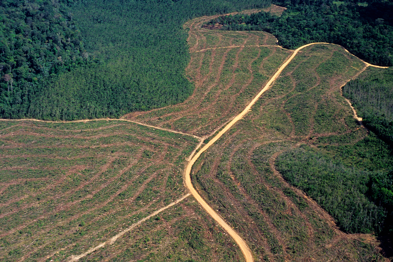 Vista aérea de desmatamento na Amazônia