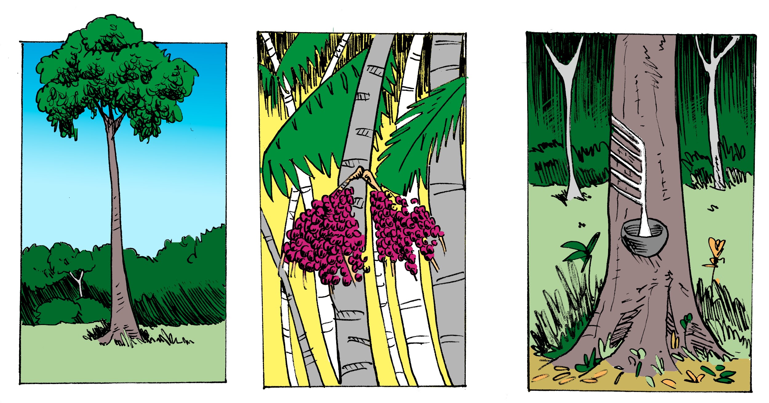 Ilustração para reflexão 2