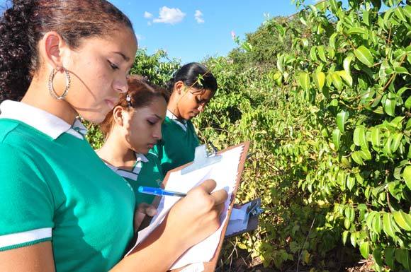 Alunas fazem anotações sobre a vegetação