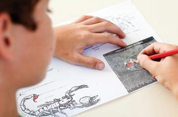 Pesquisa científica sobre escorpiões