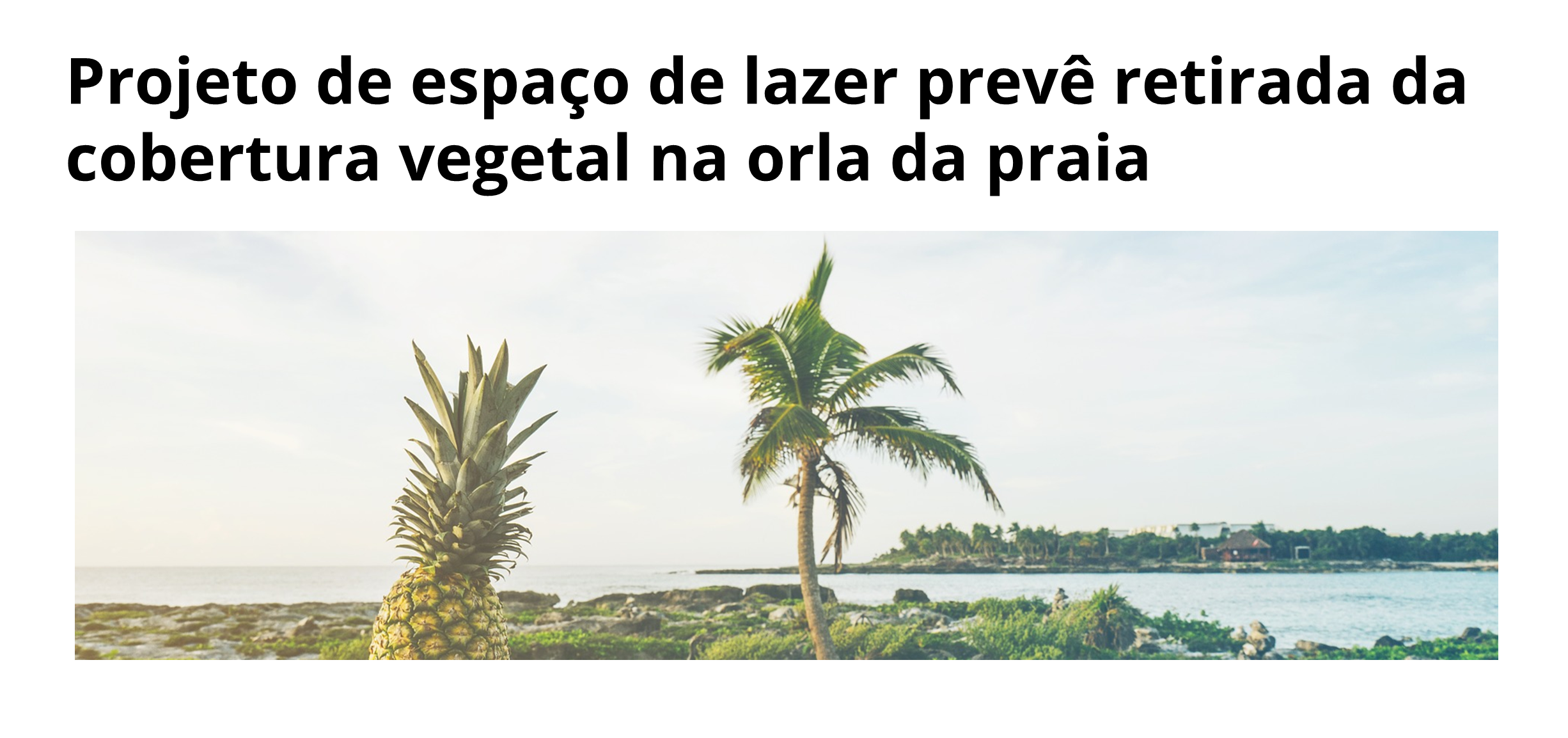 Projeto de espaço de lazer prevê retirada da cobertura vegetal na orla da praia