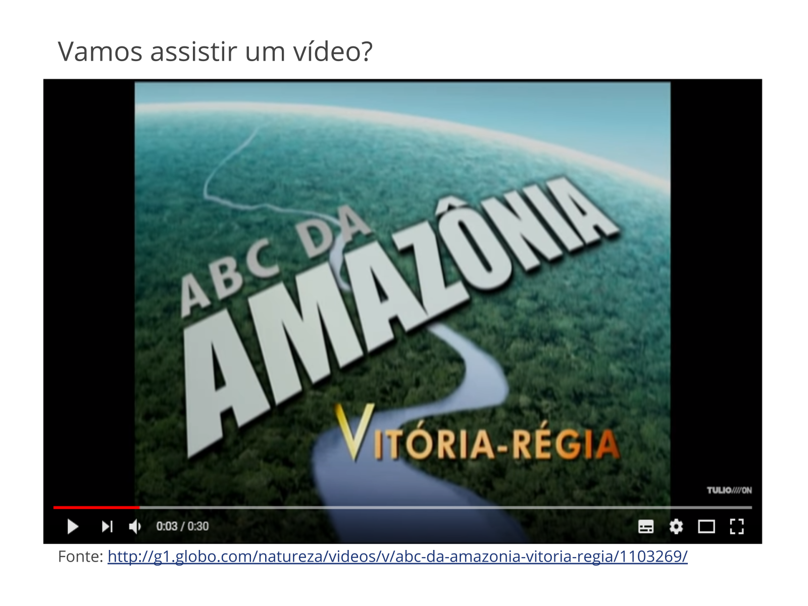 Aplicativo da Globo lança jogo infantil sobre biodiversidade da