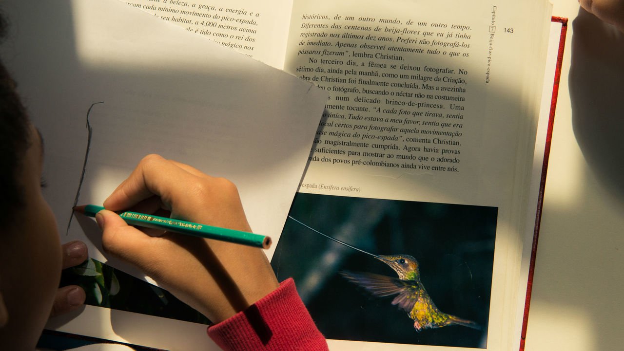 Aluno desenhando ave