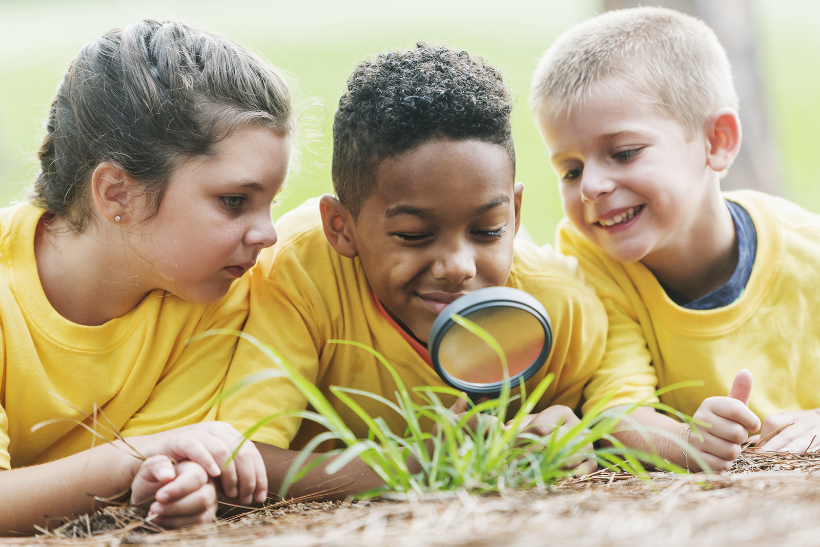 Crianças utilizando uma lupa para olhar elementos pequenos da natureza como grama e insetos