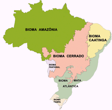 Mapa de biomas do Brasil