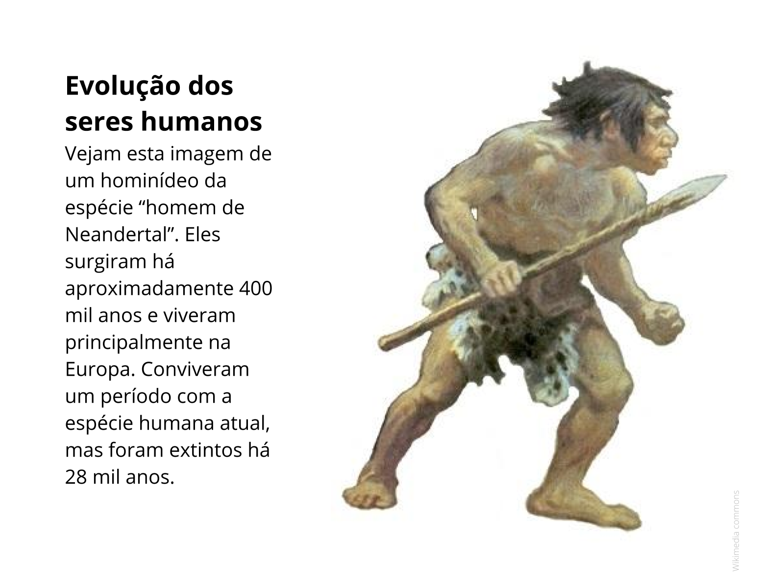 Crianças desenham dinossauros e um cientista analisa as espécies