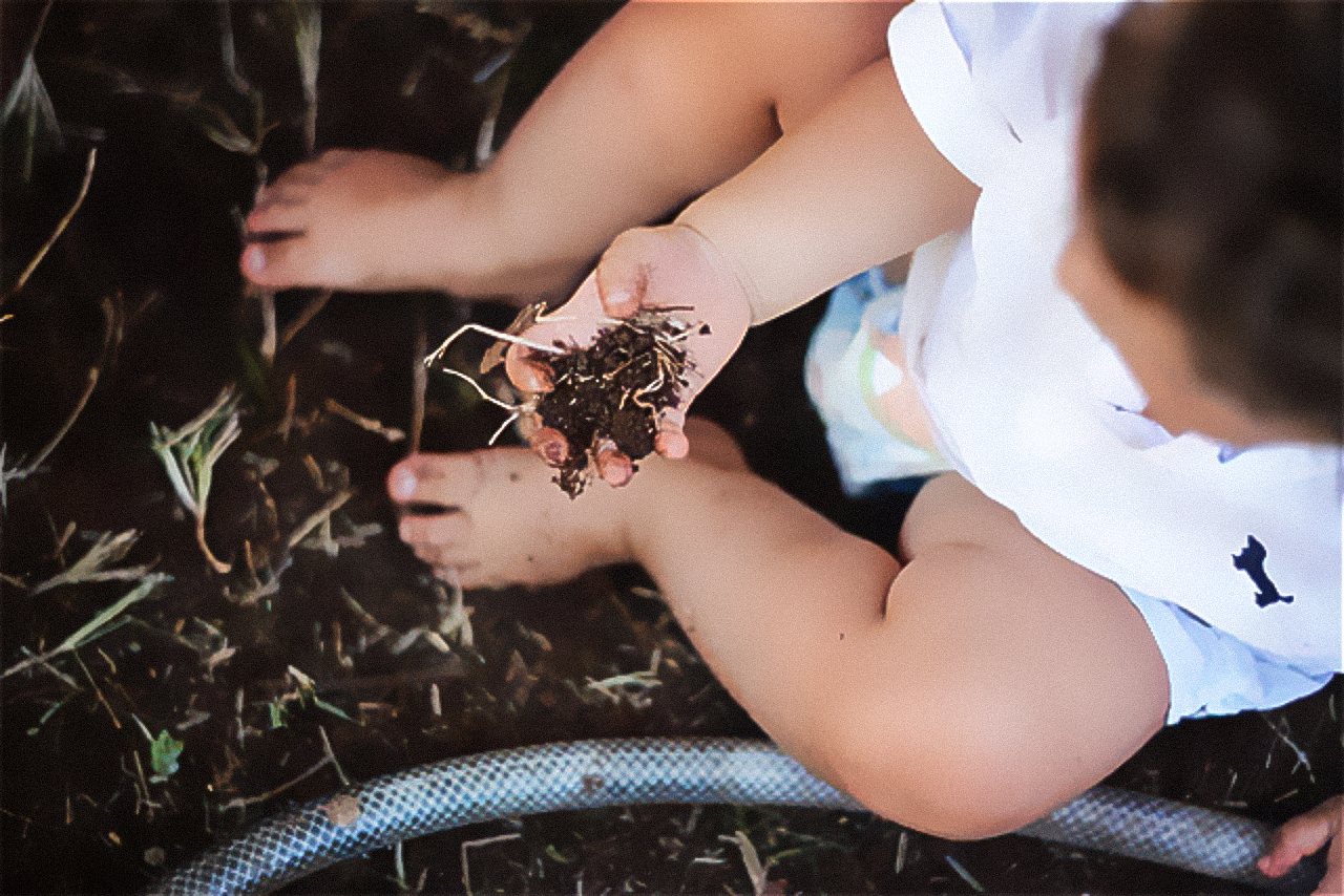 Fotografia de bebê segurando um punhado de terra.