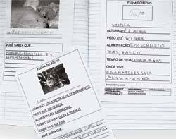 LER E ESCREVER Fichas escritas por aluno mostram a evolução na alfabetização (à frente, o texto mais recente). Fotos: Marcos Rosa