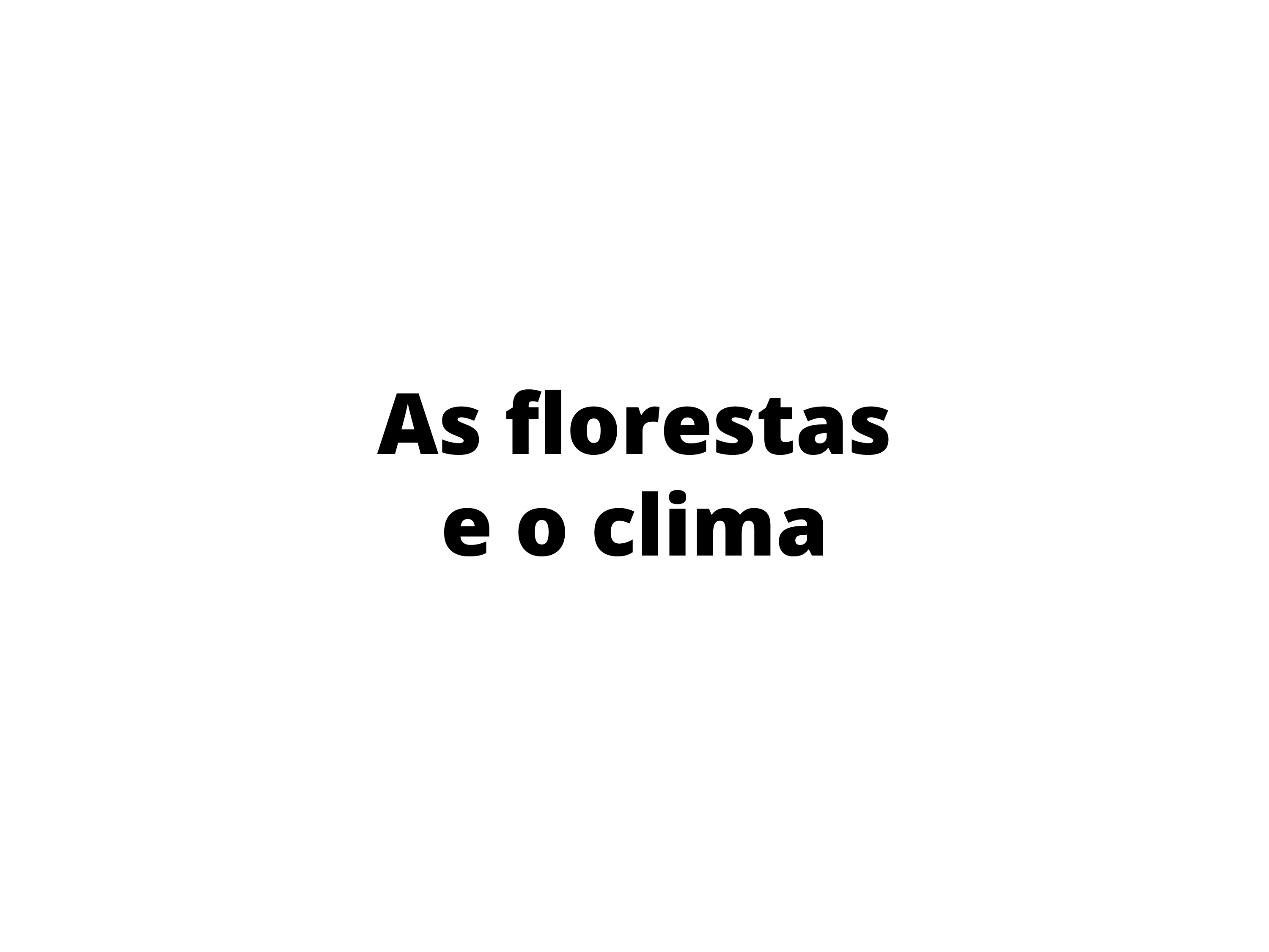 As florestas e o clima