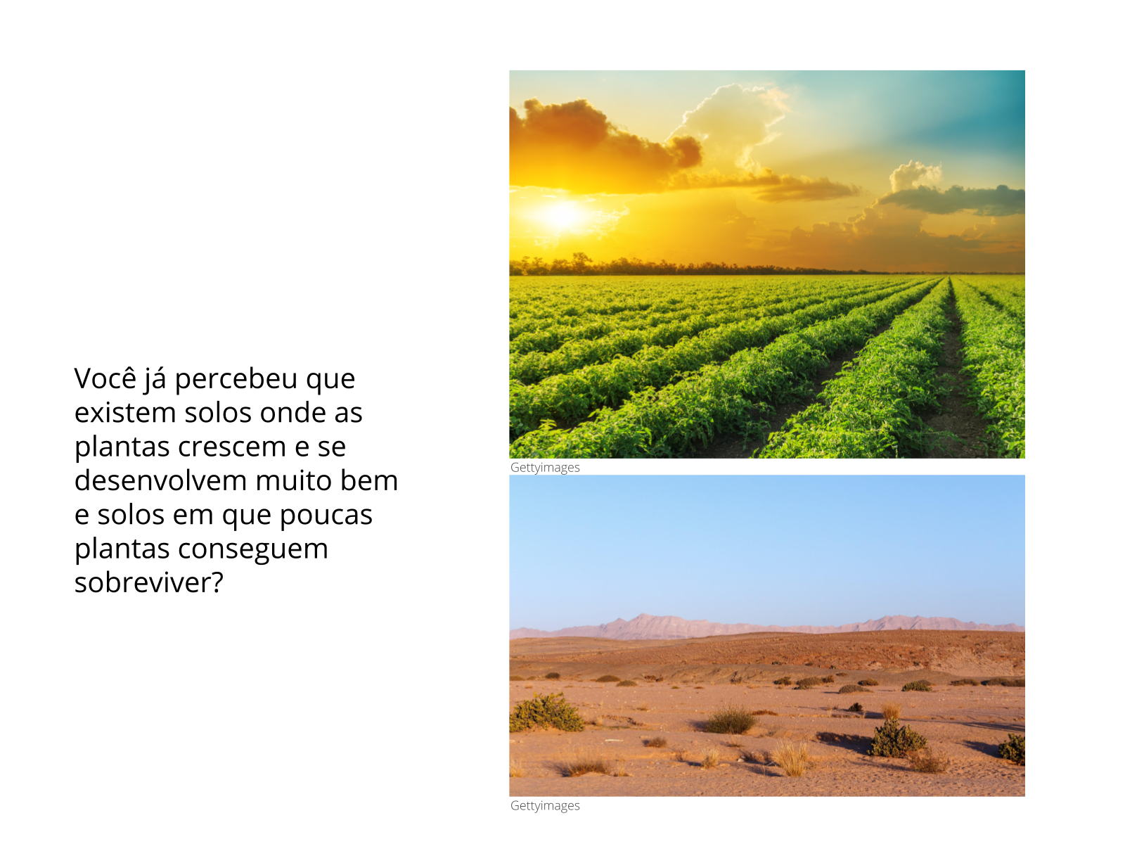 Plano de aula 3o ano Do