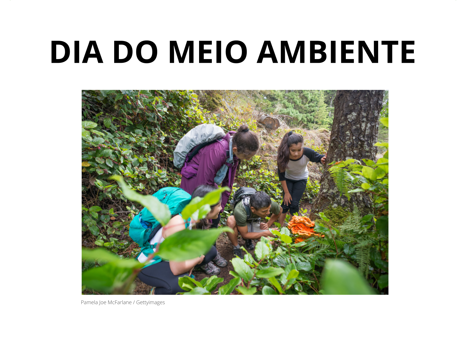 Perguntas e Respostas / Dia mundial do meio ambiente / Educação