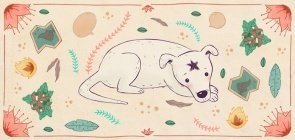 Baixe: livro com 8 personagens pouco conhecidas do nosso folclore