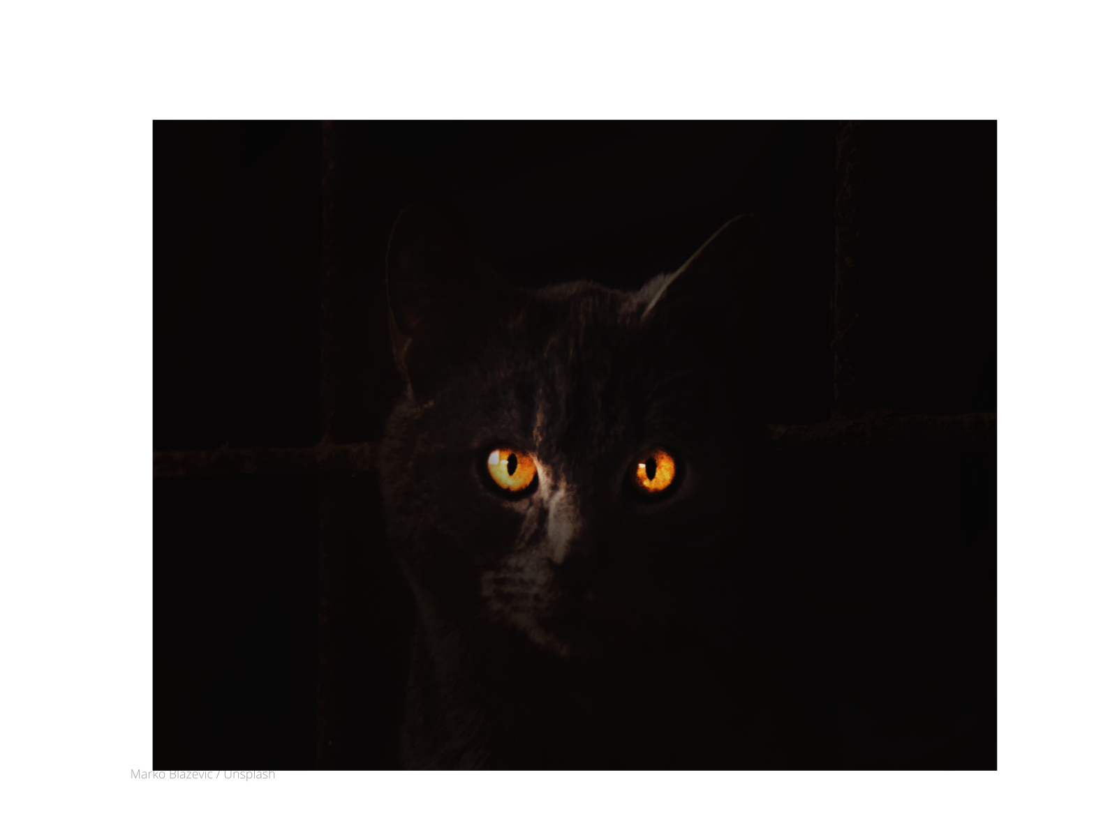 Plano de aula 9o ano contos the black cat