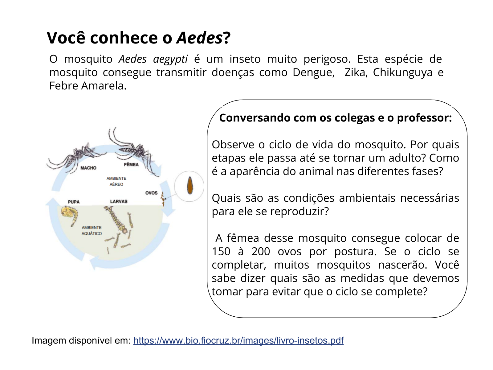 Perguntas e Respostas Meio Ambiente PDF, PDF, Ciclo da água