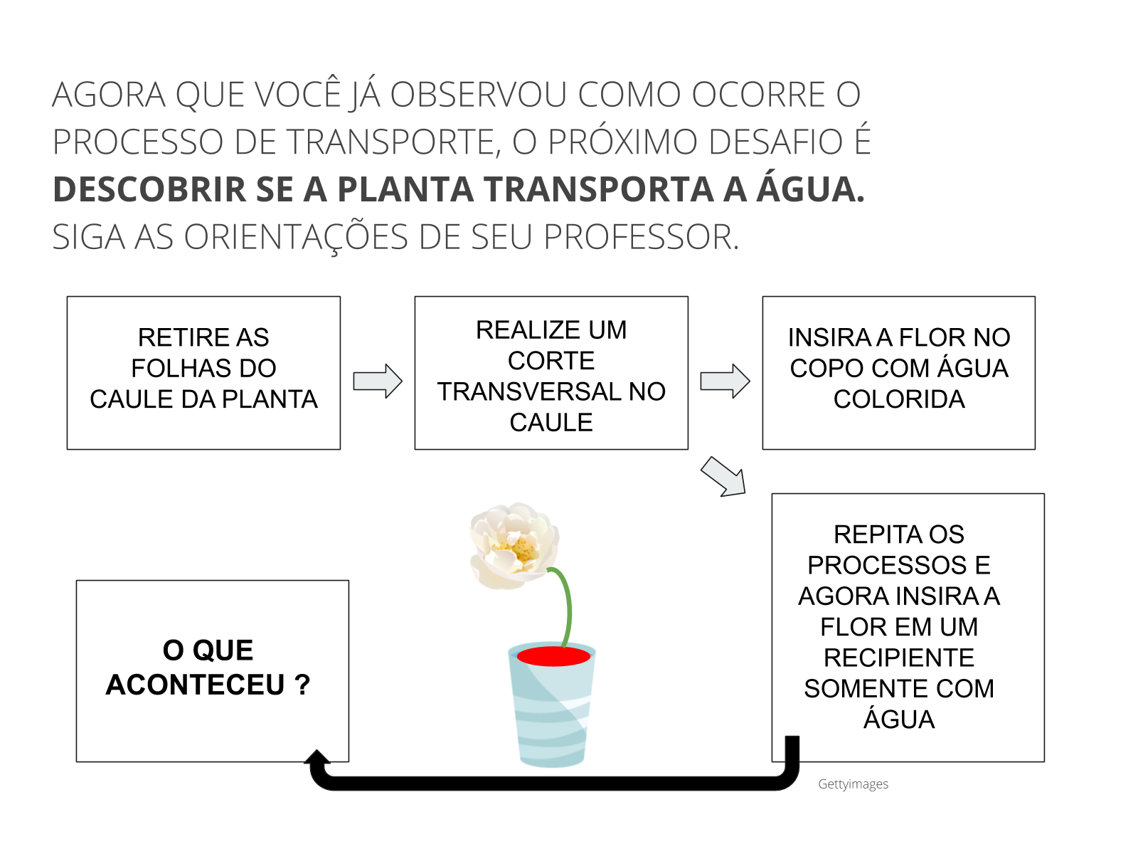 Utilidade fundamental