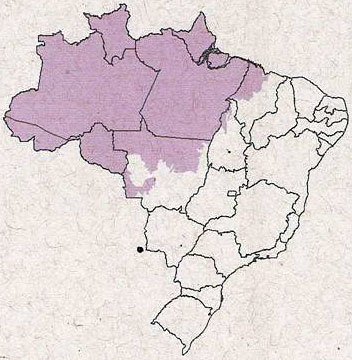 Bioma Amazônia