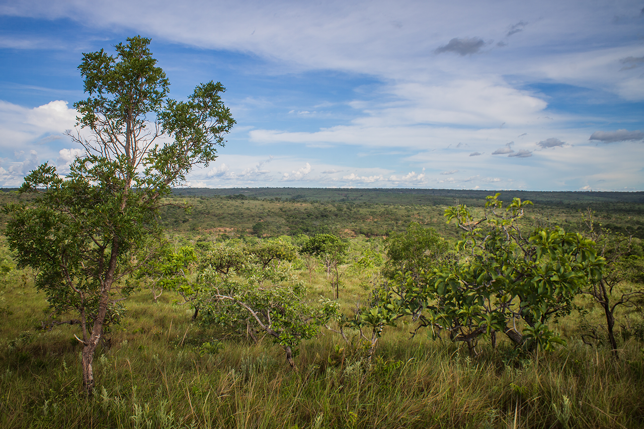 Fotografia do cerrado brasileiro, Arinos, MG.