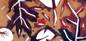 Na Amazônia também tem História