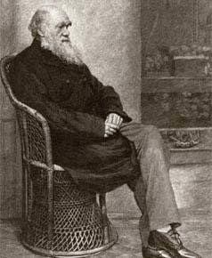 Retrato de Charles Darwin: teoria da evolução das espécies influenciou Claparède e toda uma geração de cientistas. Foto: Hulton Archive/Getty Images