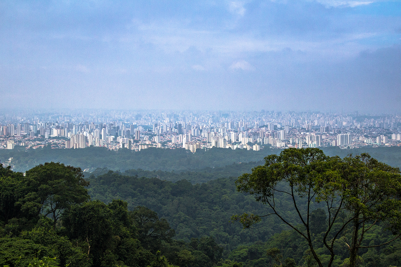 Vista panorâmica da cidade de São Paulo vista da Serra da Cantareira, com densa Mata Atlântica em primeiro plano