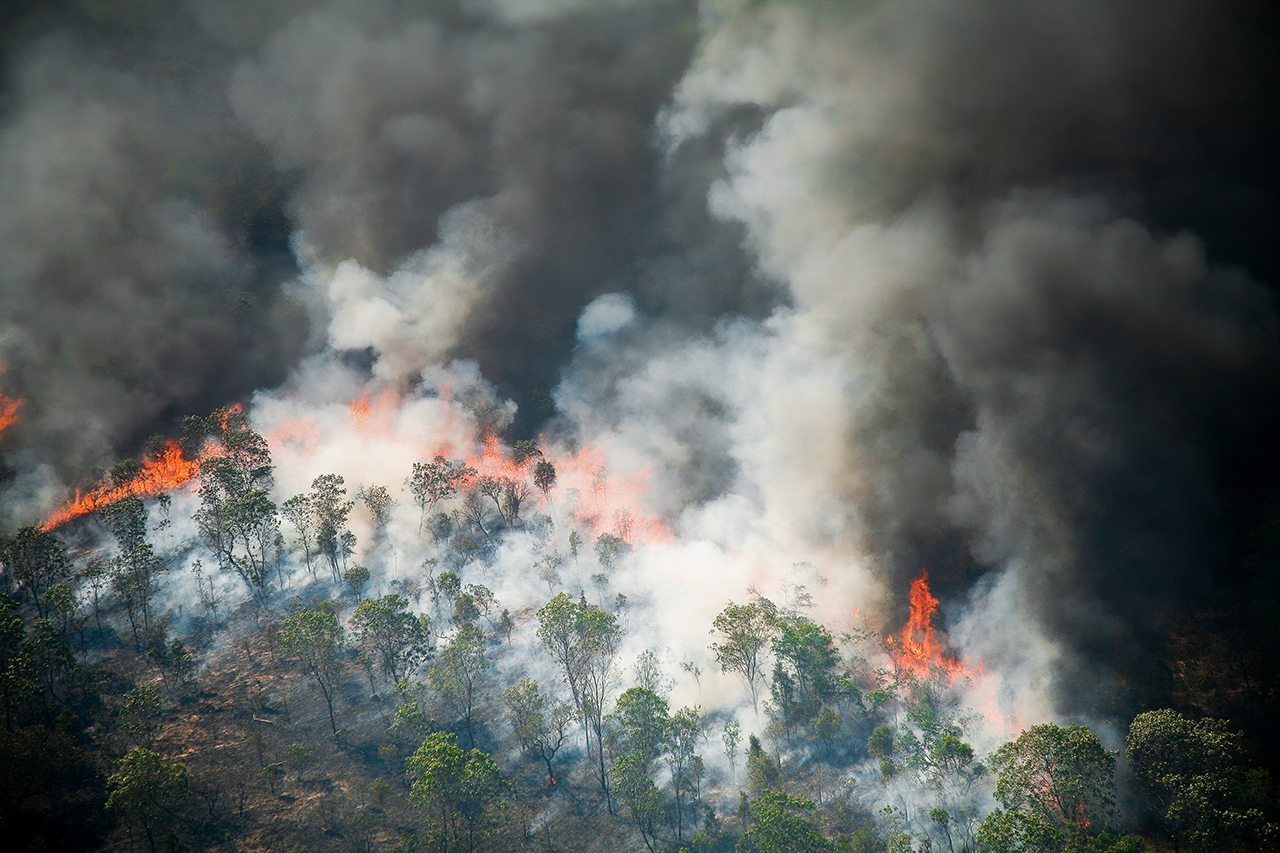 Incêndio florestal na Amazônia brasileira
