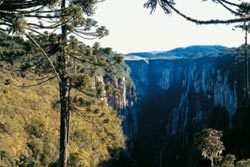 Parque Nacional de Aparados da Serra. Foto: Divulgação