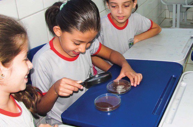 Durante a visita de um bioquímico à escola, a classe analisou várias lâminas com sangue. Arquivo pessoal/Anelise Torres Valle