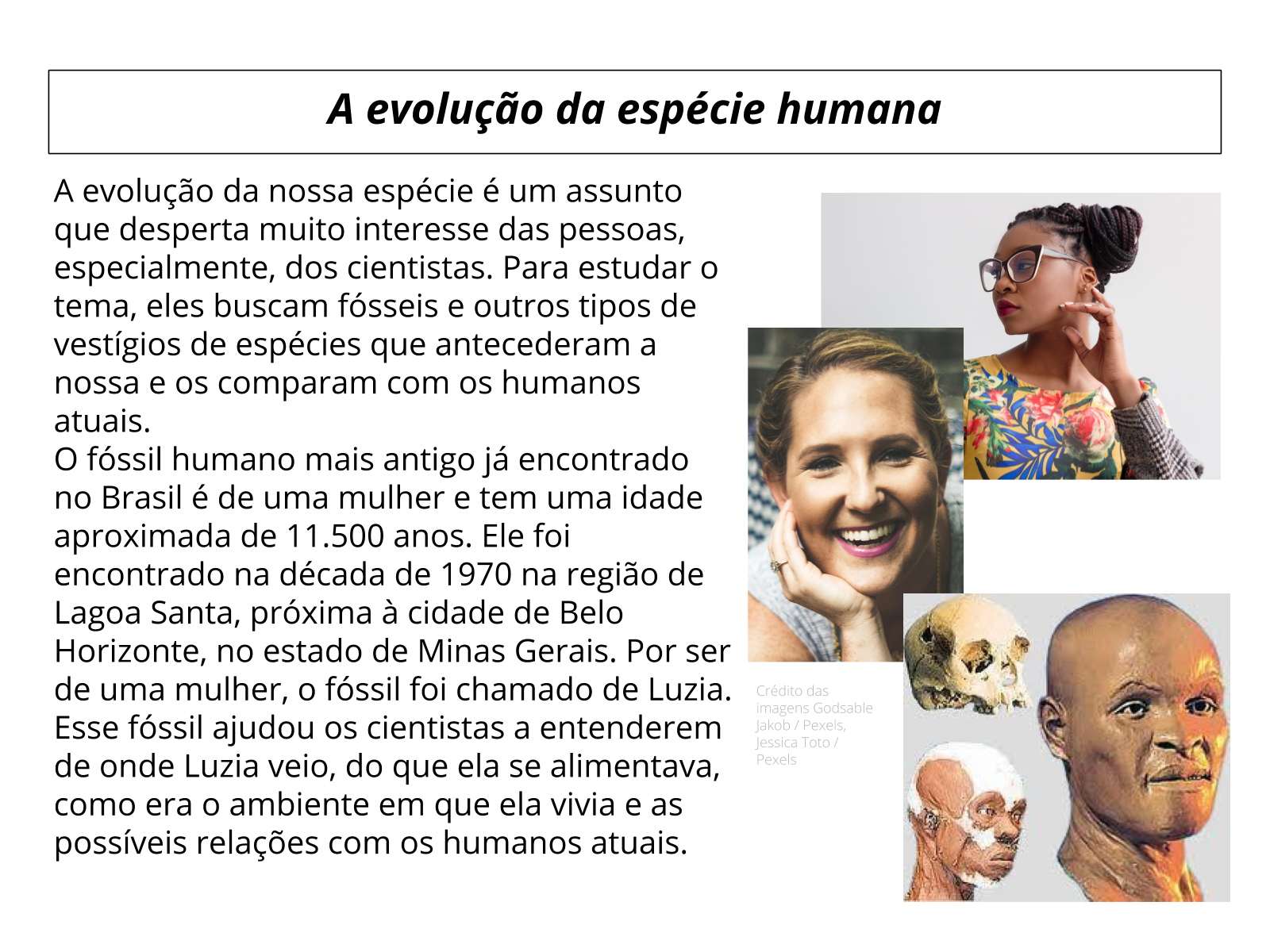 Tipos De Evolução