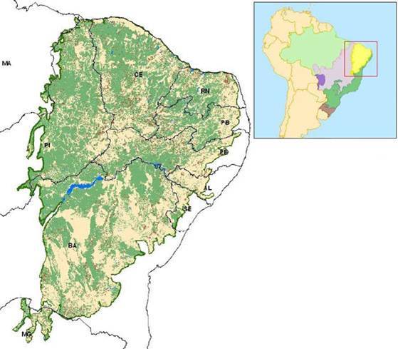 Mapa - Distribuição do desmatamento da caatinga. Fonte: Ibama. Ministério do Meio Ambiente.