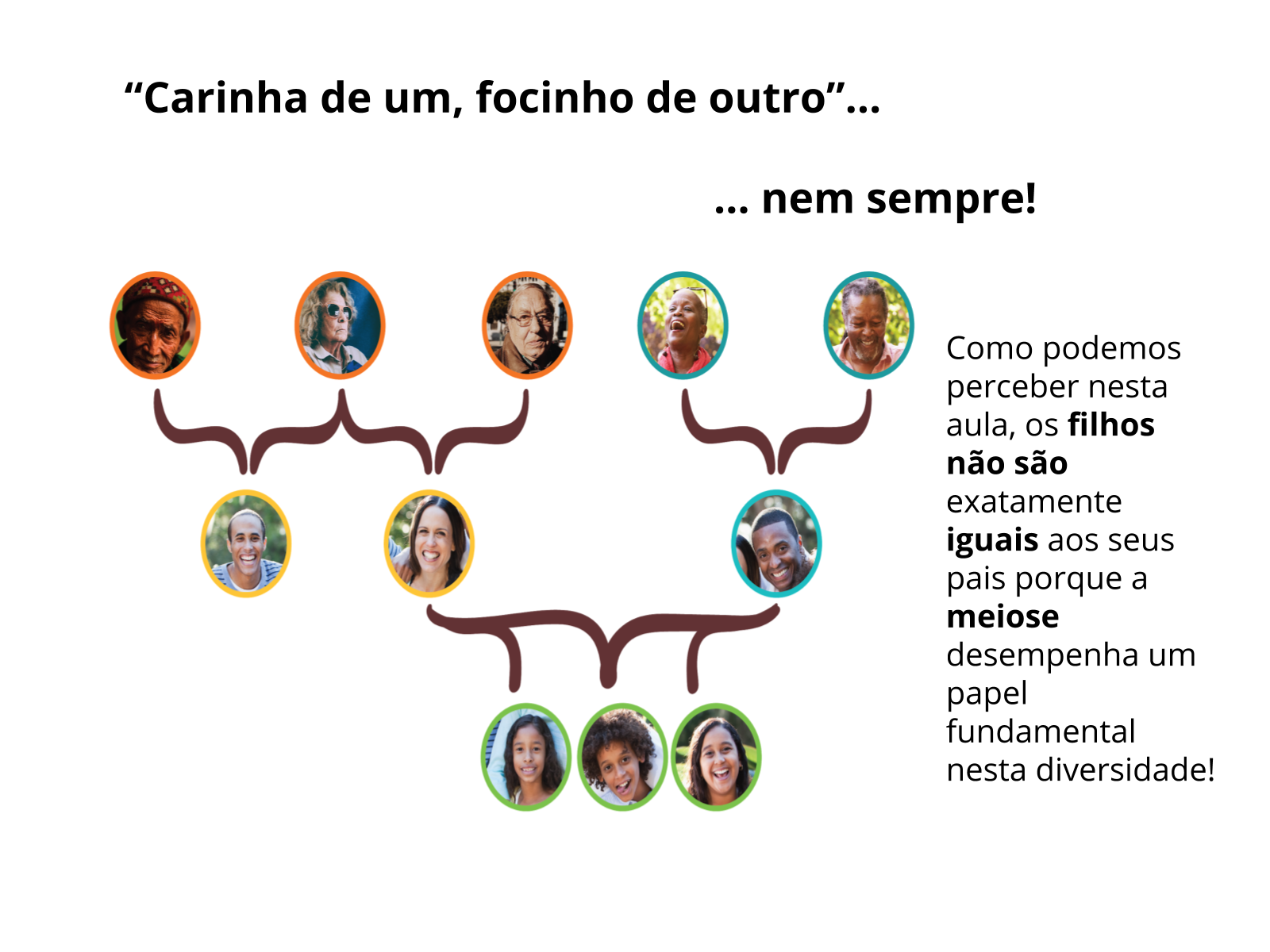 Mitose e meiose: o que são, diferenças e importância