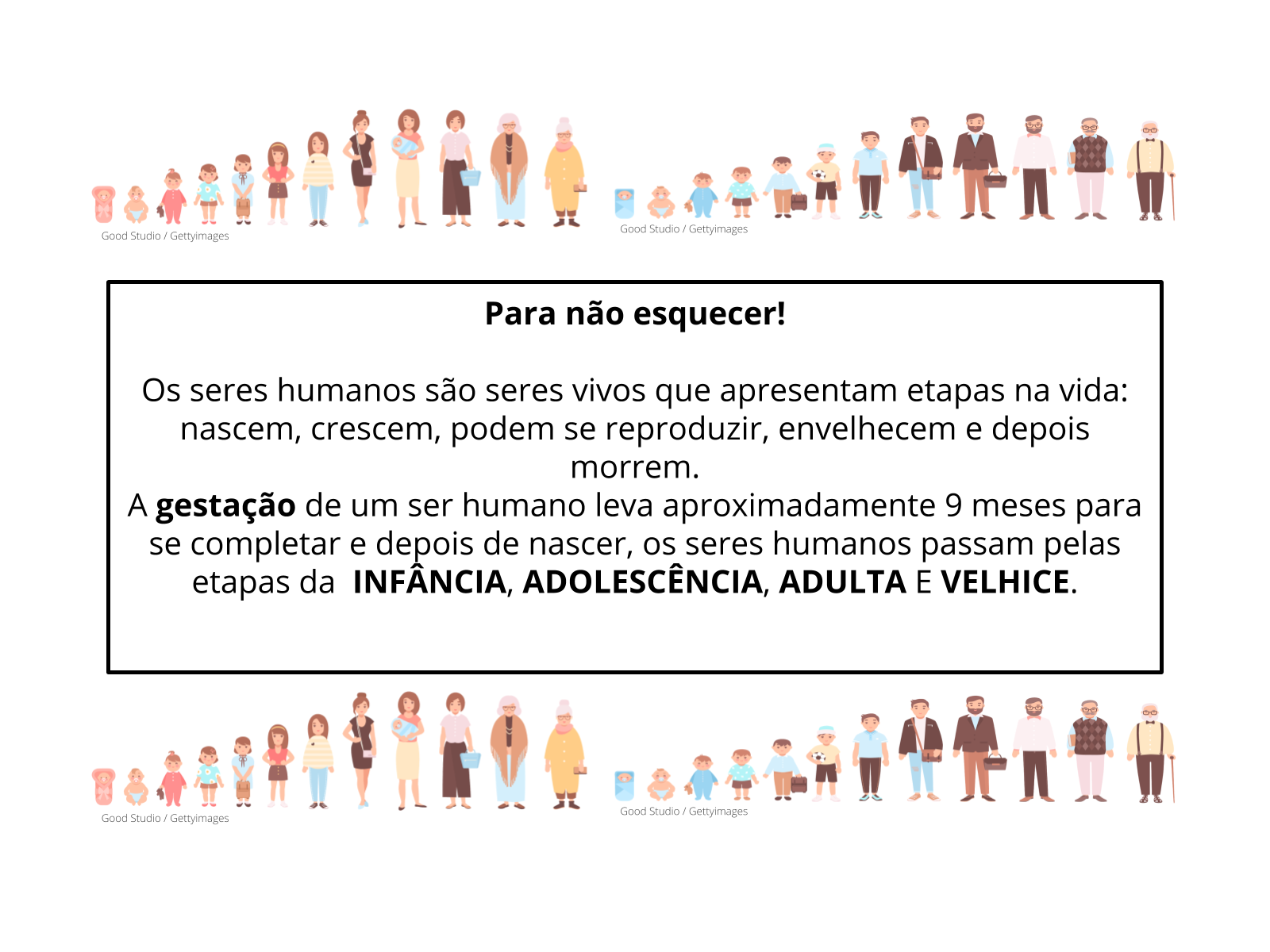 As etapas do desenvolvimento humano - Planos de aula - 3º ano - Ciências