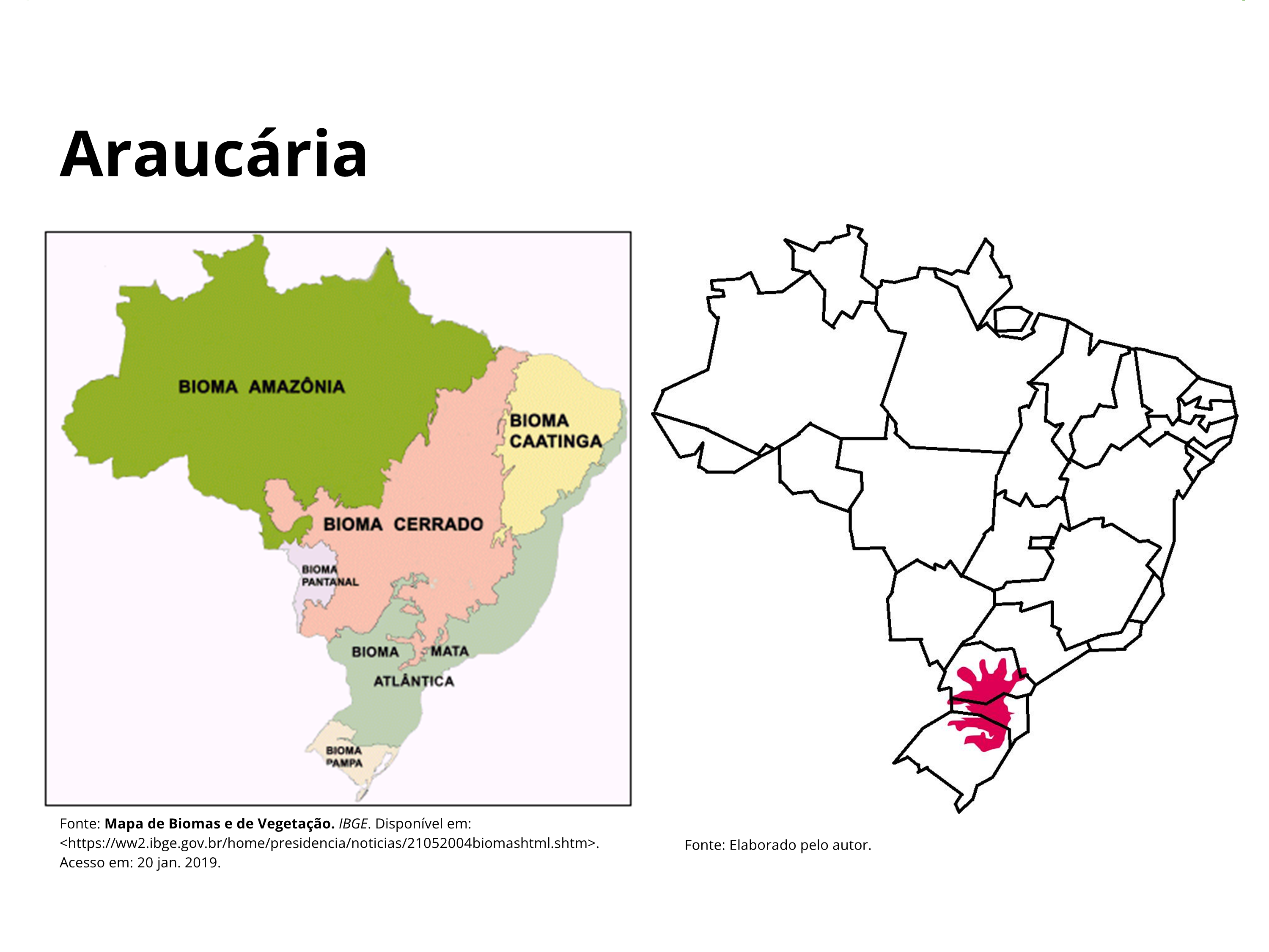 Araucária - Mapas