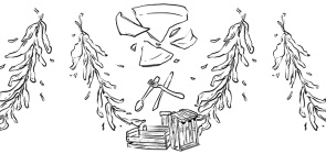 Dados: Analise os números da fome no Brasil de 2021 com as turmas